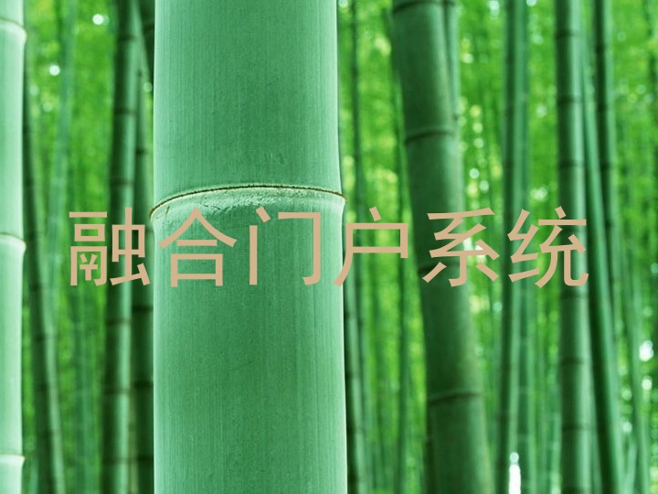 融合门户系统