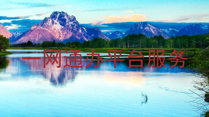 一网通办平台服务