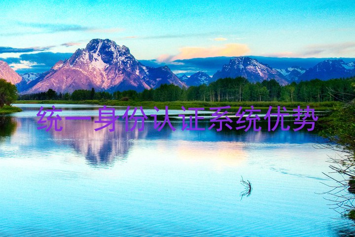 统一身份认证系统优势