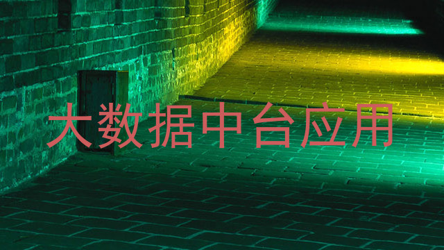 大数据中台应用