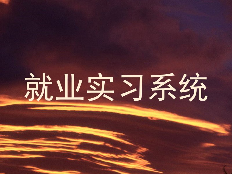 就业实习系统