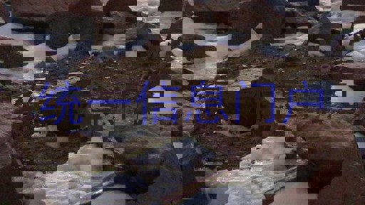 统一信息门户