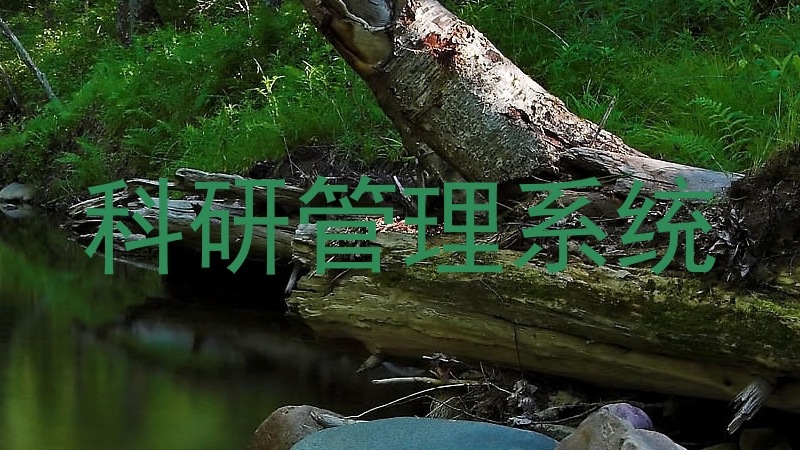 科研管理系统