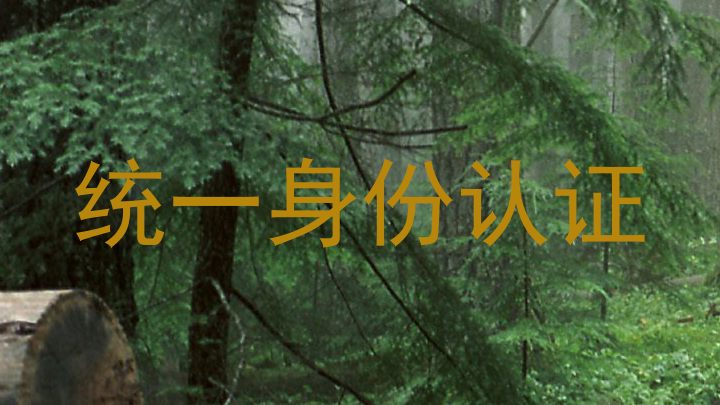统一身份认证
