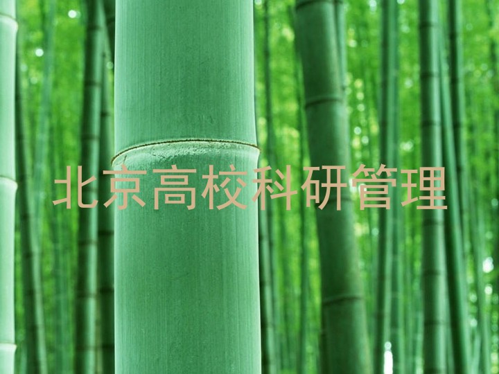 北京高校科研管理
