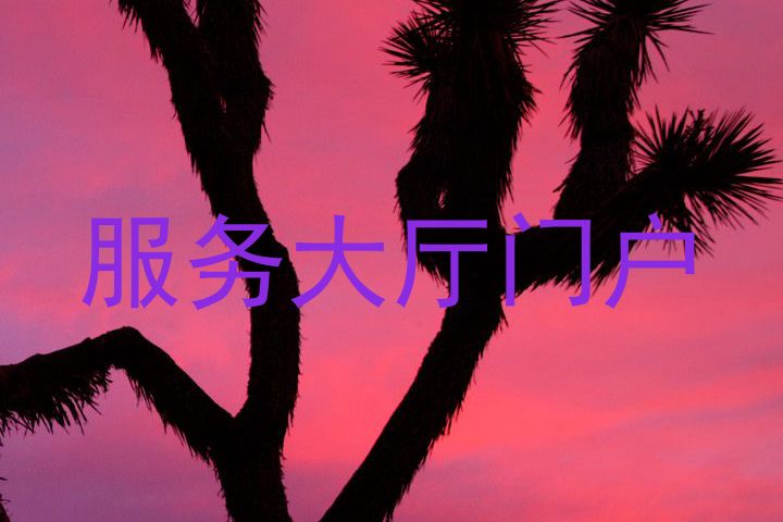 服务大厅门户