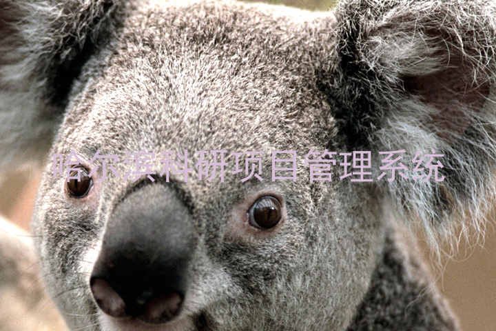 哈尔滨科研项目管理系统