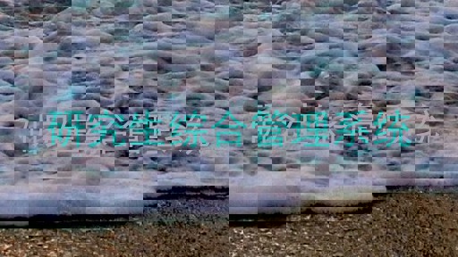 研究生综合管理系统
