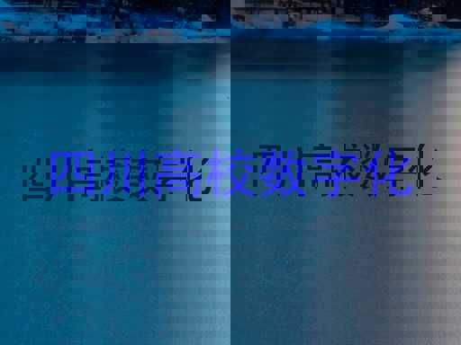四川高校数字化