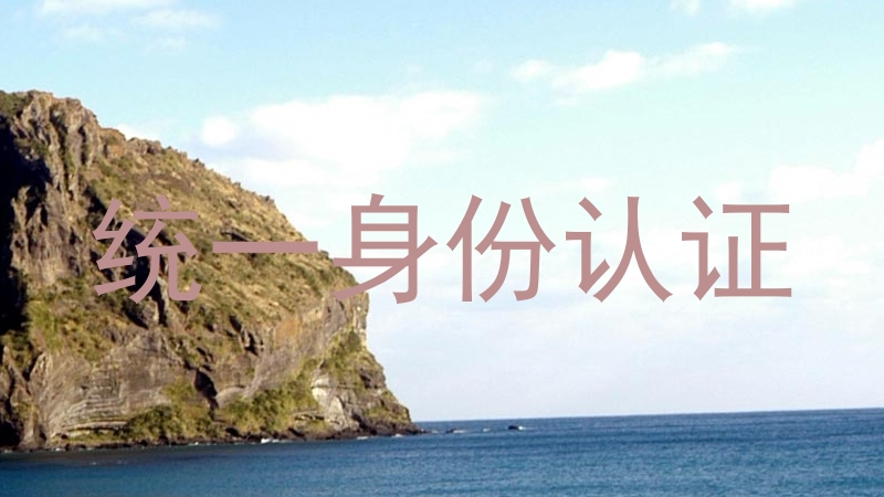 统一身份认证