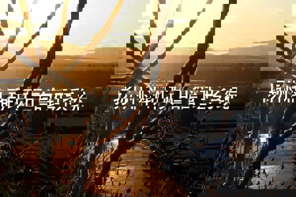 扬州科研项目管理系统