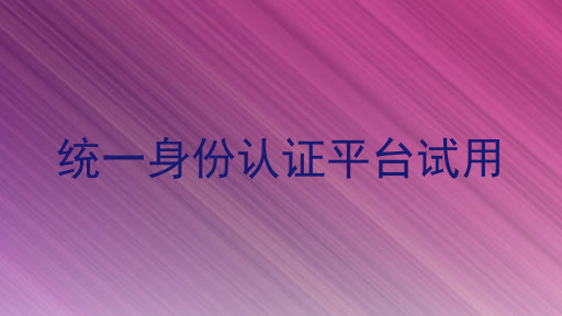 统一身份认证平台试用