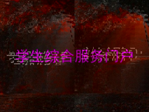 学生综合服务门户