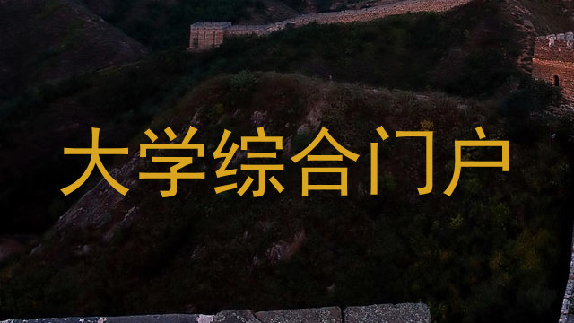 大学综合门户
