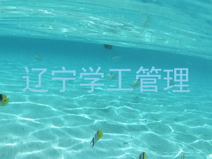 辽宁学工管理