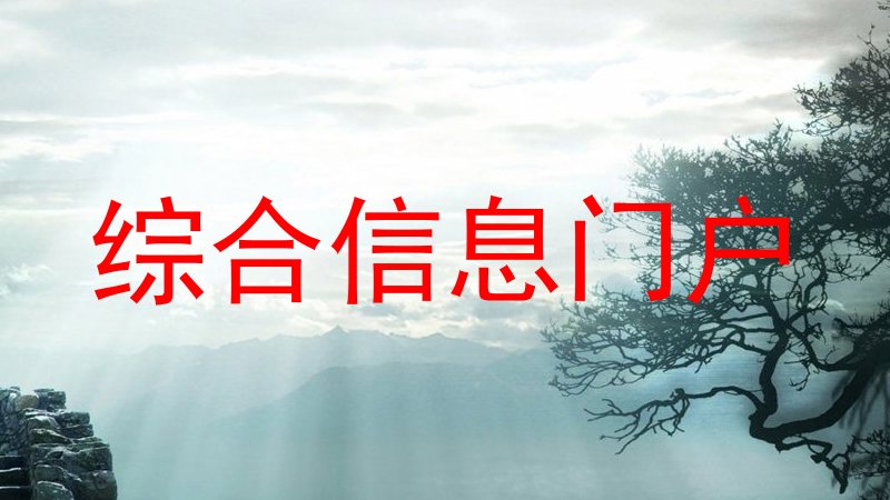 综合信息门户