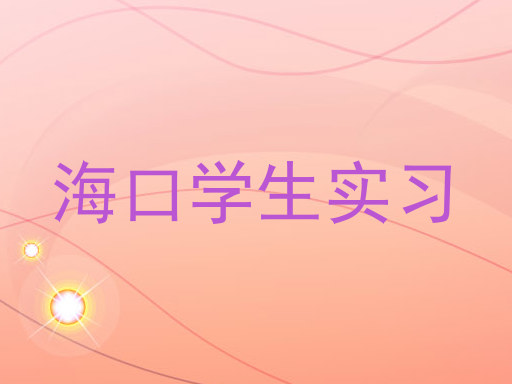海口学生实习