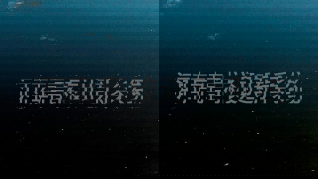 河南高校迎新系统