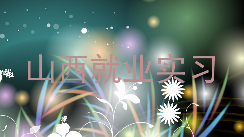 山西就业实习