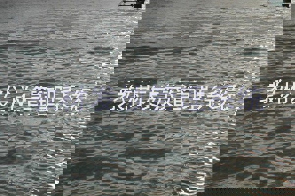 教材发放管理系统