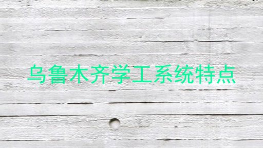 乌鲁木齐学工系统特点