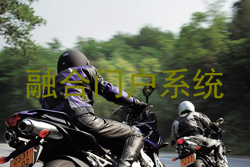 融合门户系统