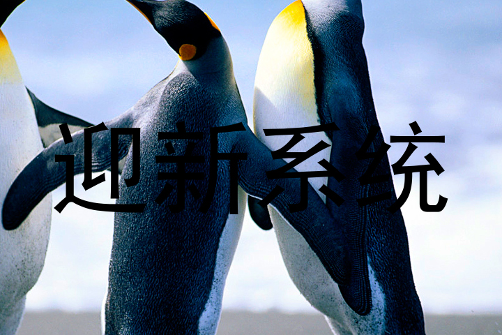 迎新系统
