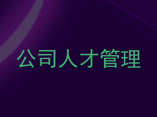 公司人才管理