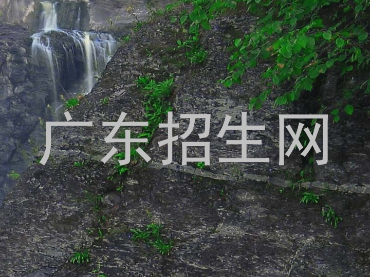 广东招生网