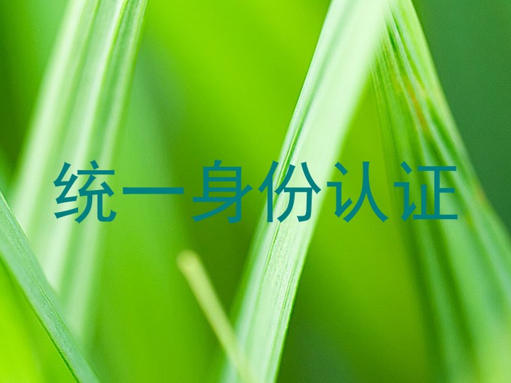 统一身份认证