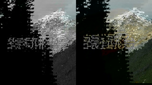 智慧校园服务平台