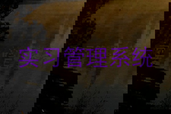 实习管理系统