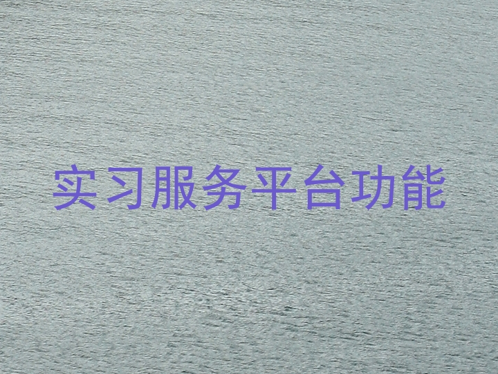 实习服务平台功能