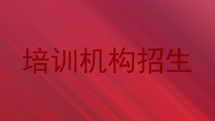 培训机构招生