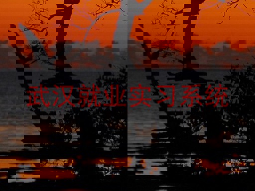 武汉就业实习系统