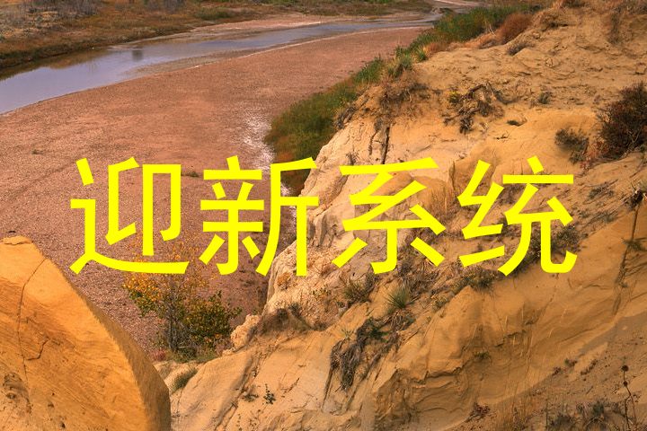 迎新系统