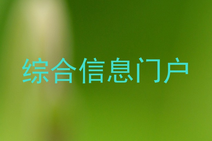 综合信息门户
