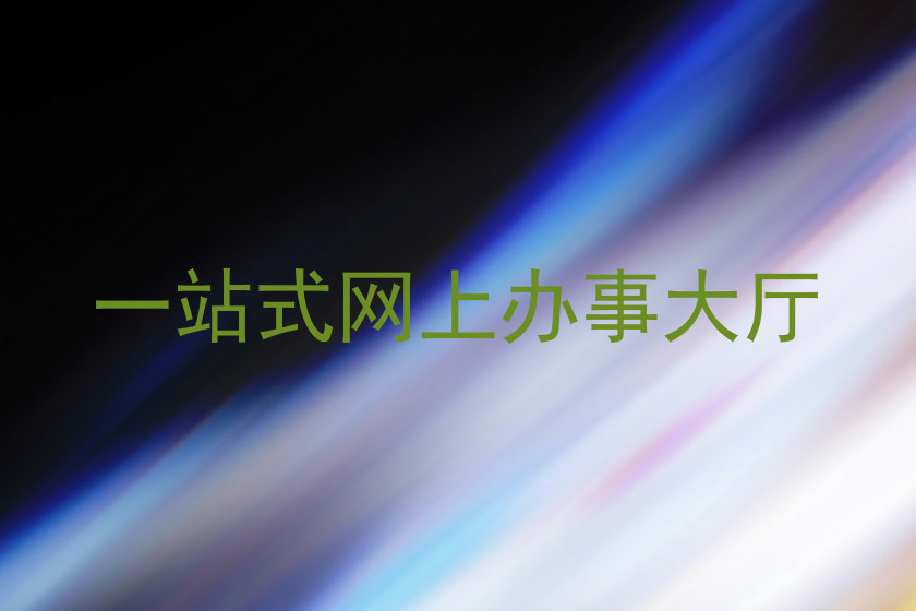 一站式网上办事大厅