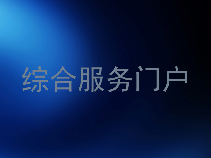 综合服务门户