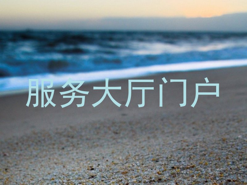 服务大厅门户
