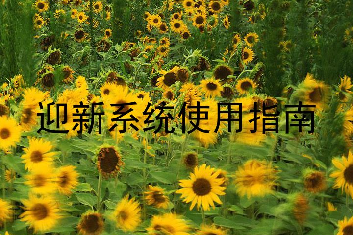 迎新系统使用指南