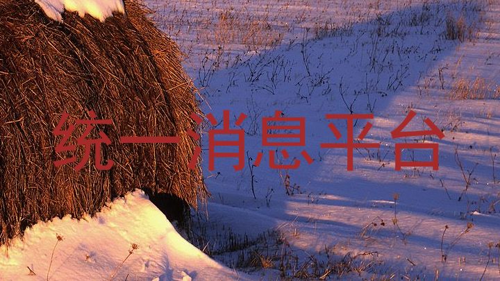 统一消息平台