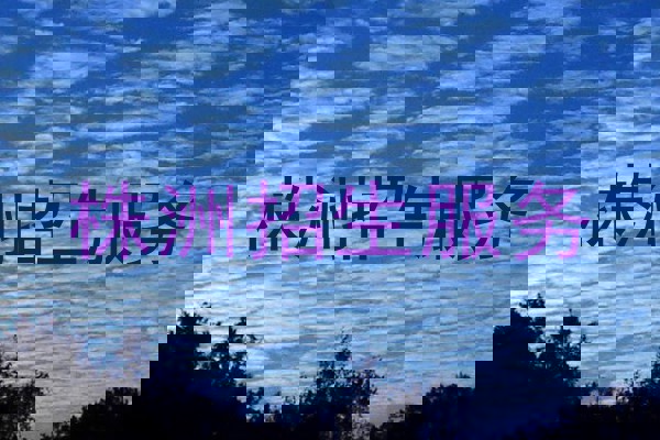 株洲招生服务