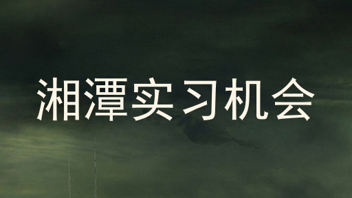 湘潭实习机会