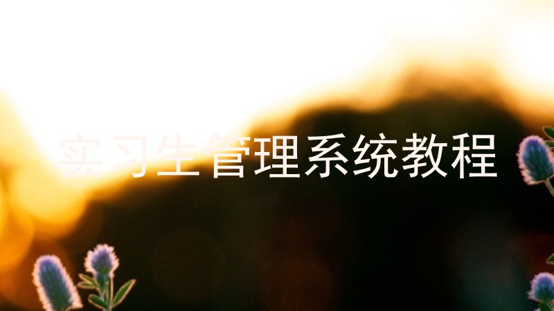 实习生管理系统教程