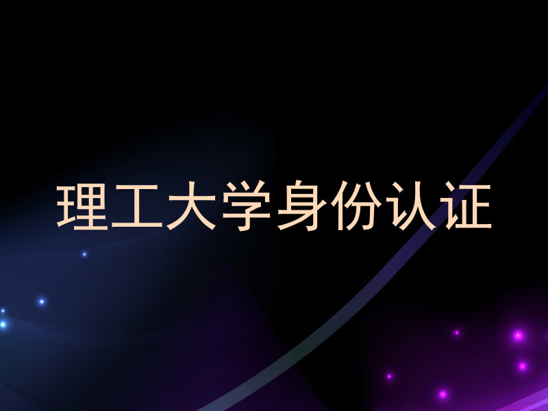 理工大学身份认证