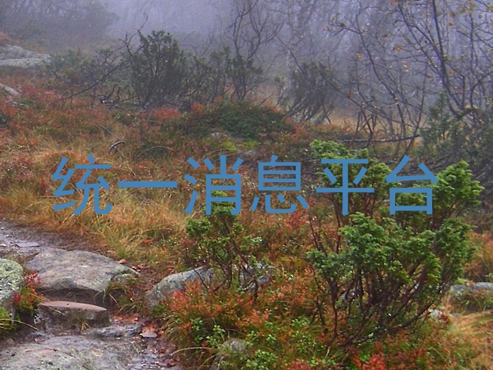 统一消息平台