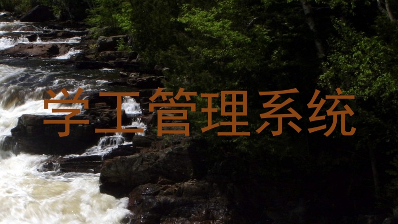 学工管理系统