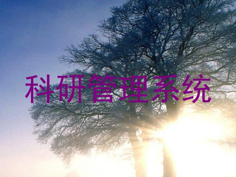 科研管理系统
