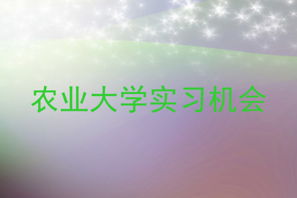 农业大学实习机会